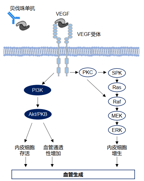 1638237859972931.png 1638237504(1).png