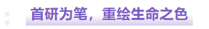 3802cb25-ce2b-4bd5-82f9-fd040c13b315.png